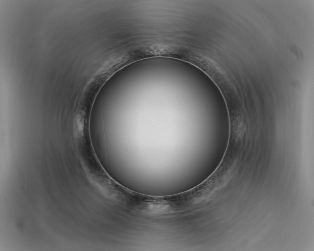 X0000113320214200909141402