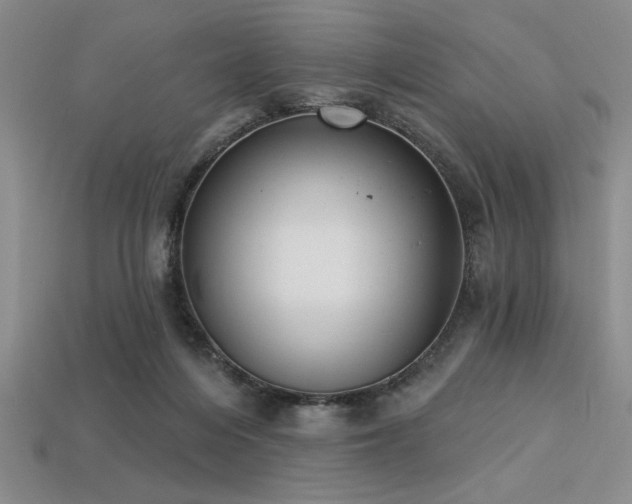 X0000113320216200909141402