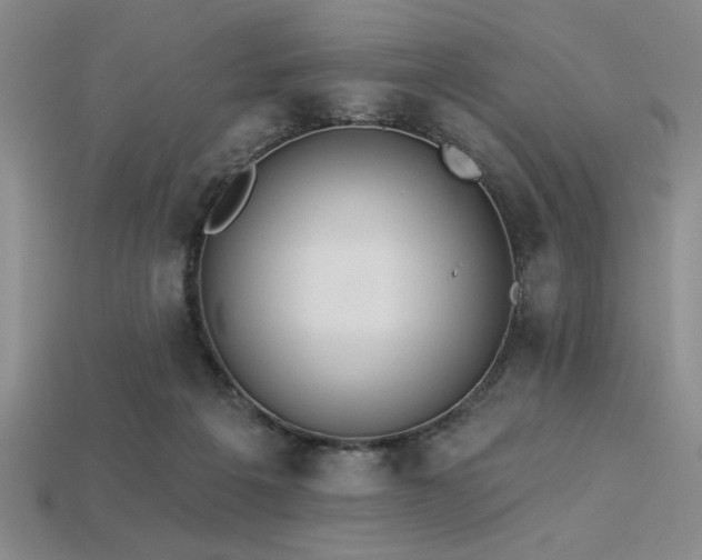 X0000113320217200909141402