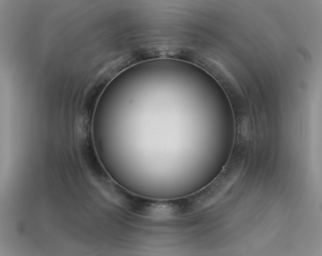 X0000113320218200909141402