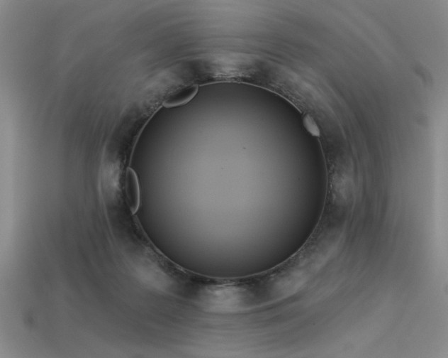 X0000113320219200909141402