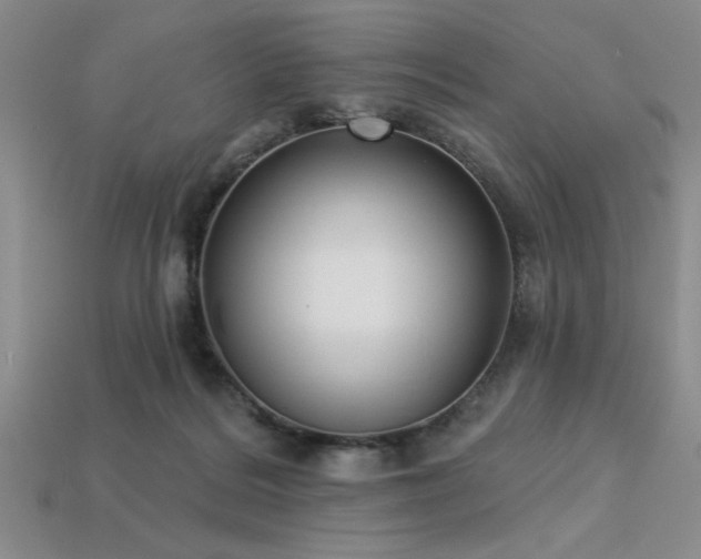 X0000113320220200909141402