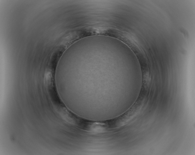 X0000113320222200909141402