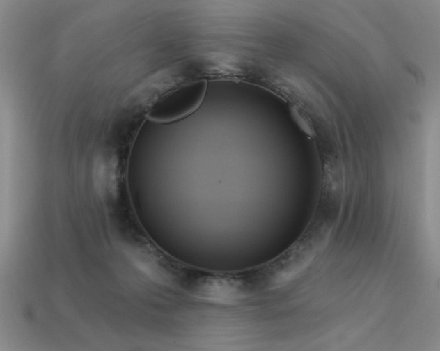 X0000113320223200909141402