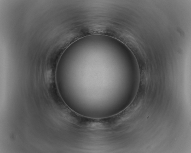 X0000113320224200909141402