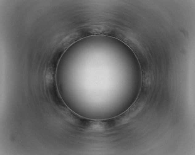 X0000113320226200909141402