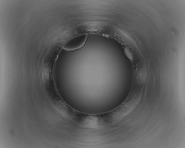 X0000113320227200909141402