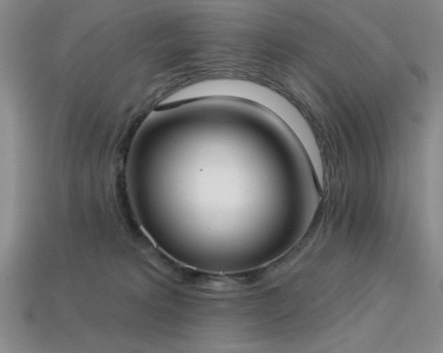 X0000113320229200909141402