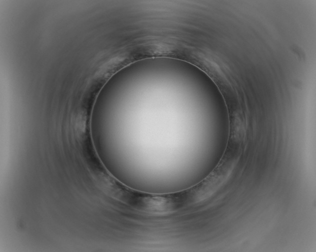 X0000113320230200909141402