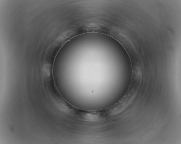 X0000113320232200909141402