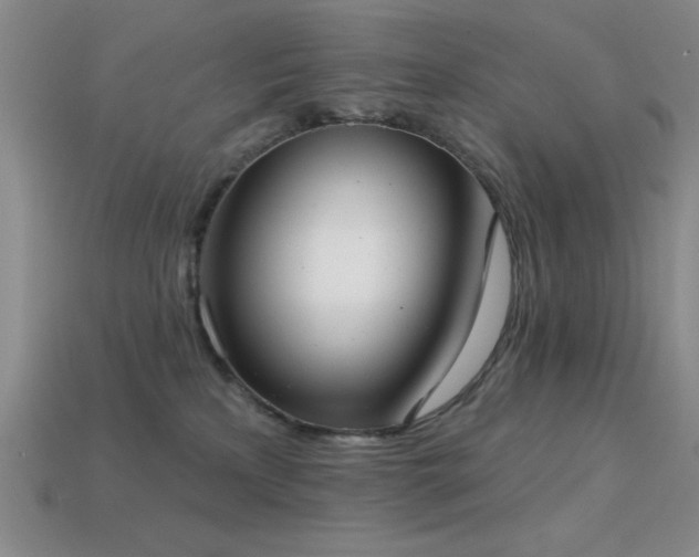 X0000113320233200909141402