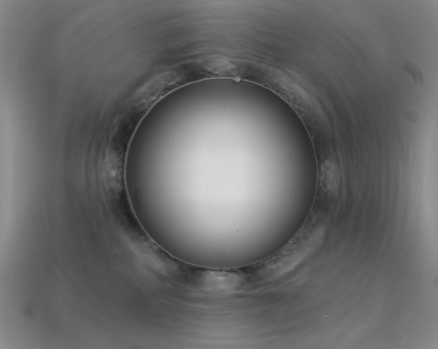 X0000113320234200909141402