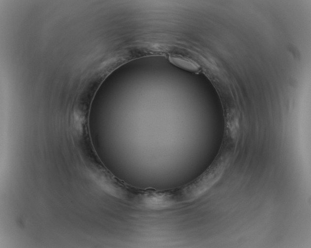 X0000113320235200909141402