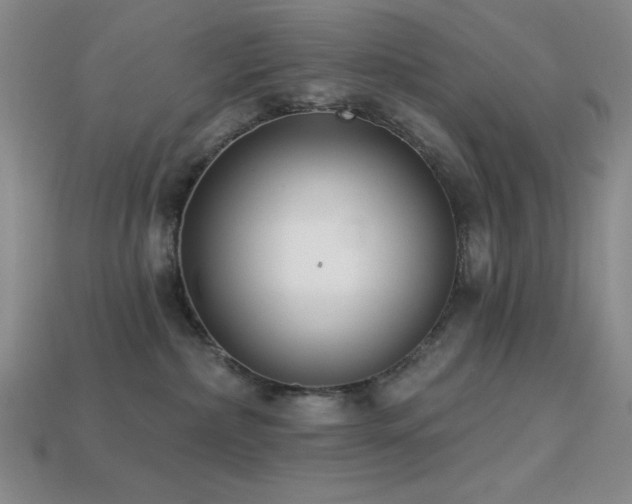 X0000113320236200909141402