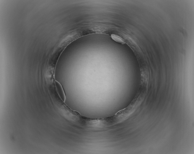 X0000113320237200909141402