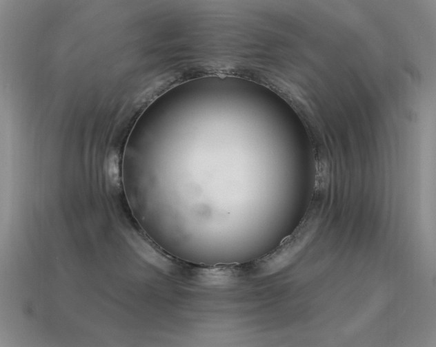 X0000113320238200909141402