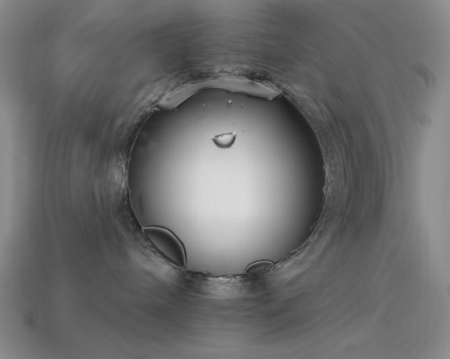 X0000113320240200909141402