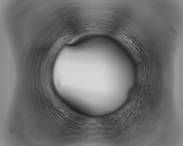 X0000113320241200909141401