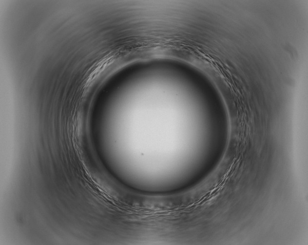 X0000113320242200909141401