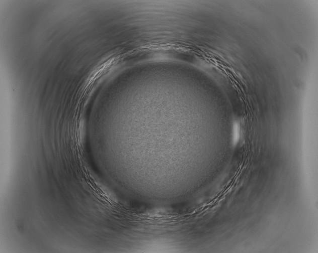 X0000113320243200909141401