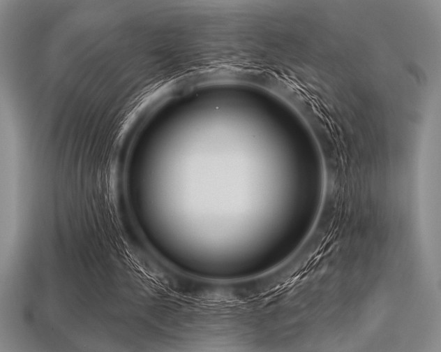 X0000113320244200909141401