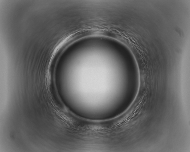 X0000113320246200909141401