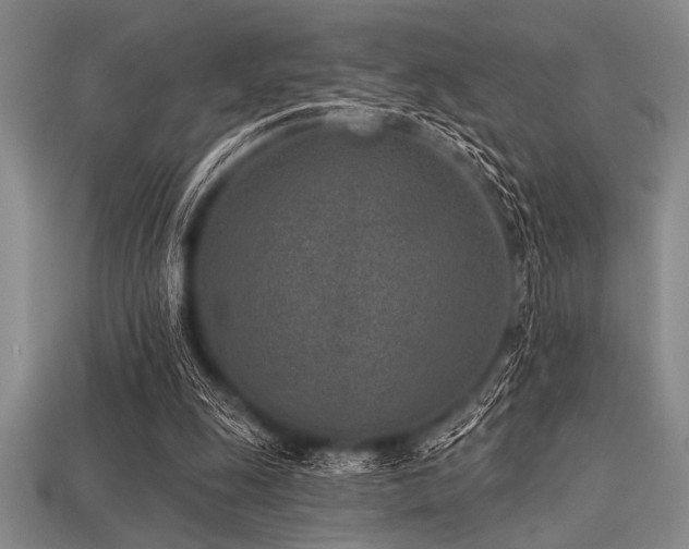 X0000113320247200909141401