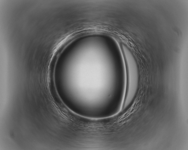 X0000113320248200909141401