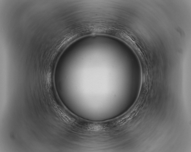 X0000113320249200909141401