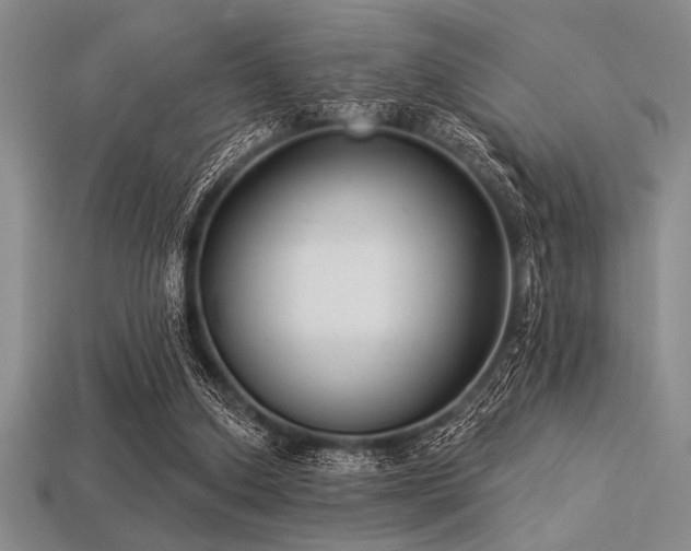 X0000113320250200909141401