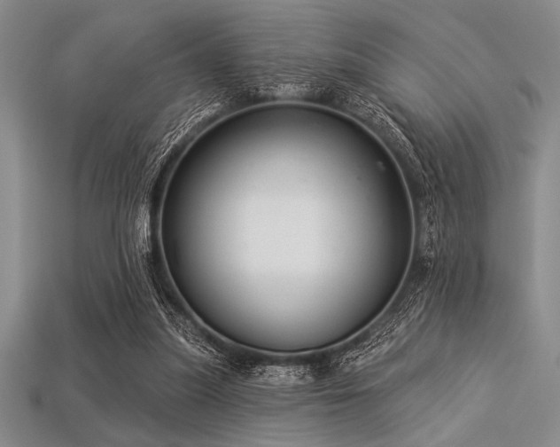 X0000113320251200909141401