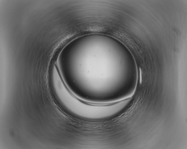 X0000113320252200909141401