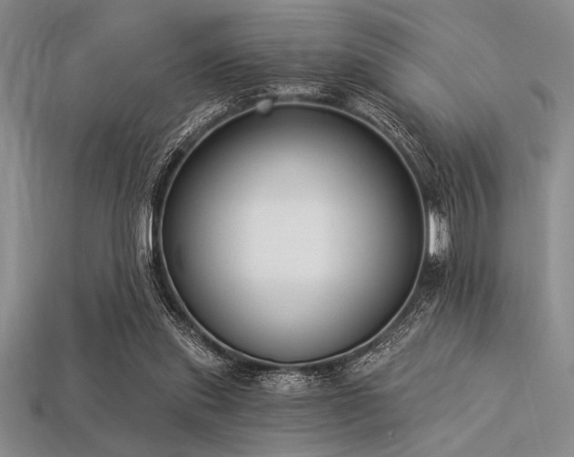 X0000113320253200909141401