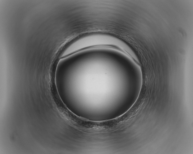 X0000113320256200909141401