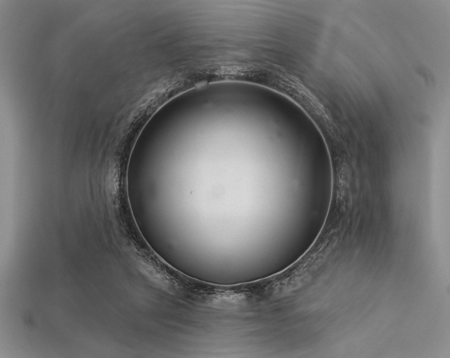 X0000113320257200909141401