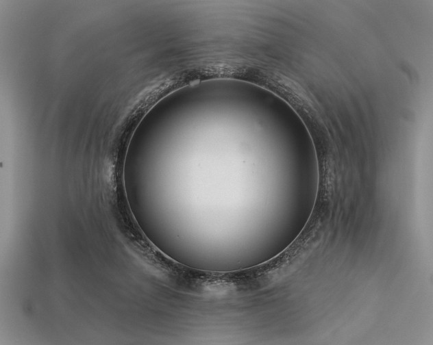 X0000113320258200909141401