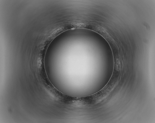 X0000113320259200909141401