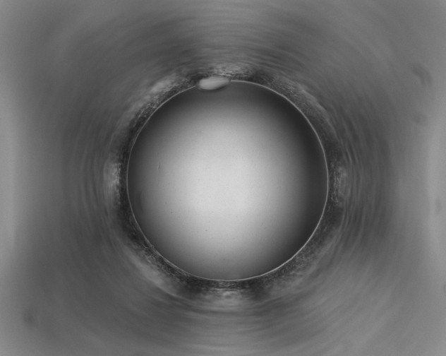 X0000113320260200909141401