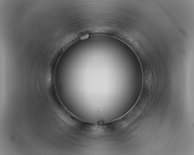 X0000113320261200909141401