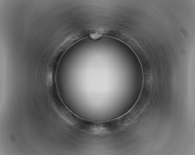 X0000113320262200909141401