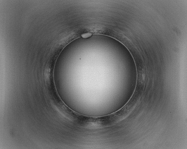 X0000113320263200909141401