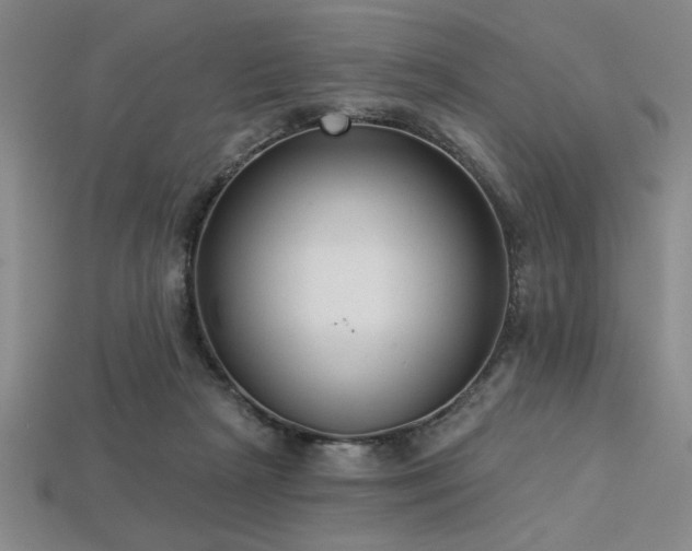 X0000113320265200909141401