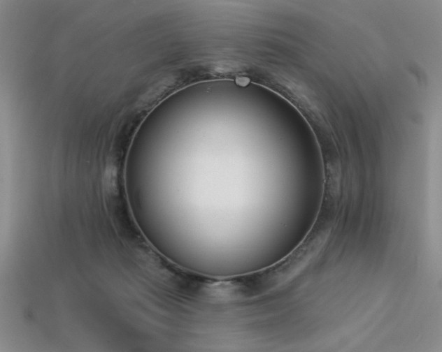 X0000113320269200909141402