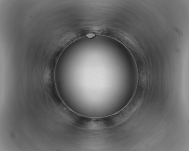 X0000113320270200909141402