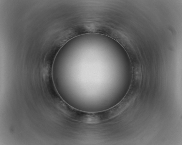 X0000113320275200909141402