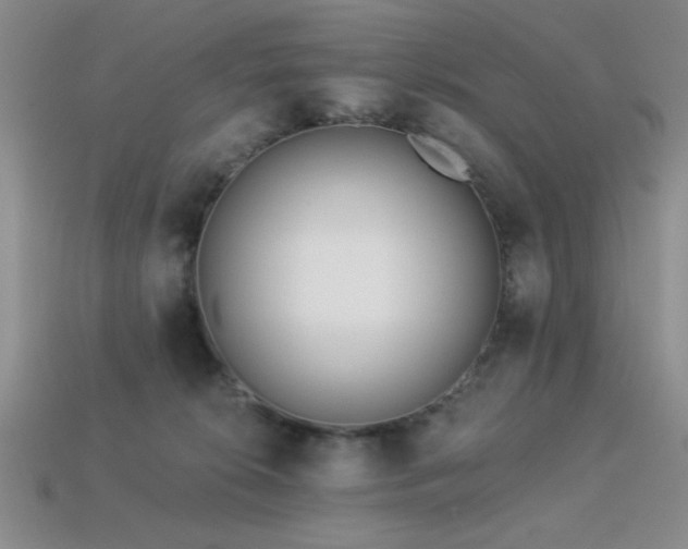 X0000113320276200909141402