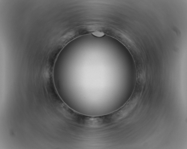 X0000113320277200909141402