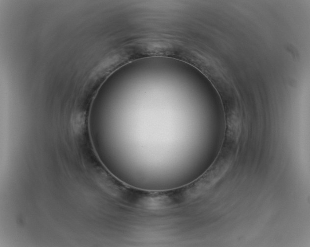 X0000113320278200909141402