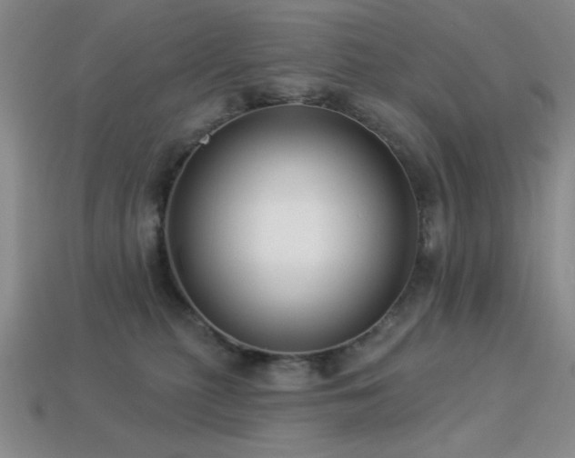 X0000113320279200909141402