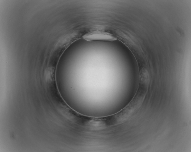 X0000113320280200909141402